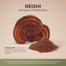 reishi-pure-powder-organic-mushroom-supplement-for-3.jpg