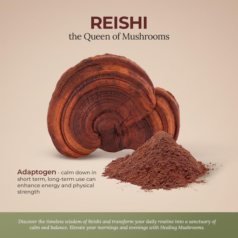 reishi-pure-powder-organic-mushroom-supplement-for-3.jpg