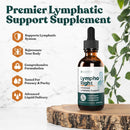 rejuvica-health-lymphoright--advanced-lymphatic-support-supplement---liquid-delivery-for-better-absorption---echinacea-elderberry-goldenseal-more-1