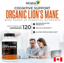 renew-actives-premium-organic-lions-mane-mushroom-1100mg-per-2-capsules---supports-brain-function-memory-focus-stress-relief-immune-health-non-gmo-vegan---made-in-canada---120-capsules-2