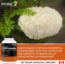 renew-actives-premium-organic-lions-mane-mushroom-1100mg-per-2-capsules---supports-brain-function-memory-focus-stress-relief-immune-health-non-gmo-vegan---made-in-canada---120-capsules-3