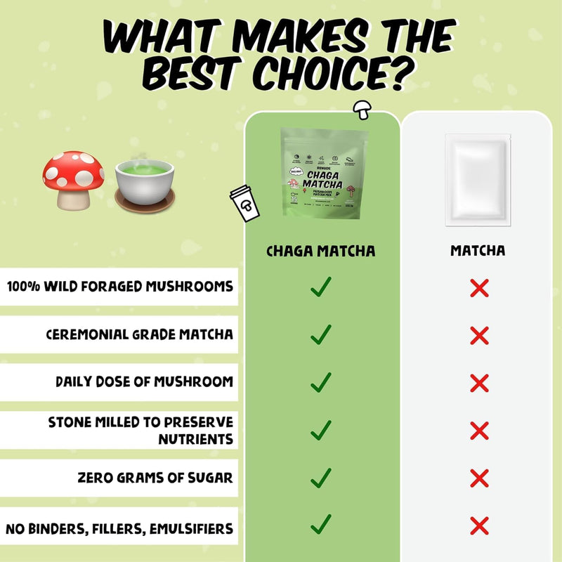 renude-chaga-matcha-and-chagaccino---chaga-mushroo-3.jpg