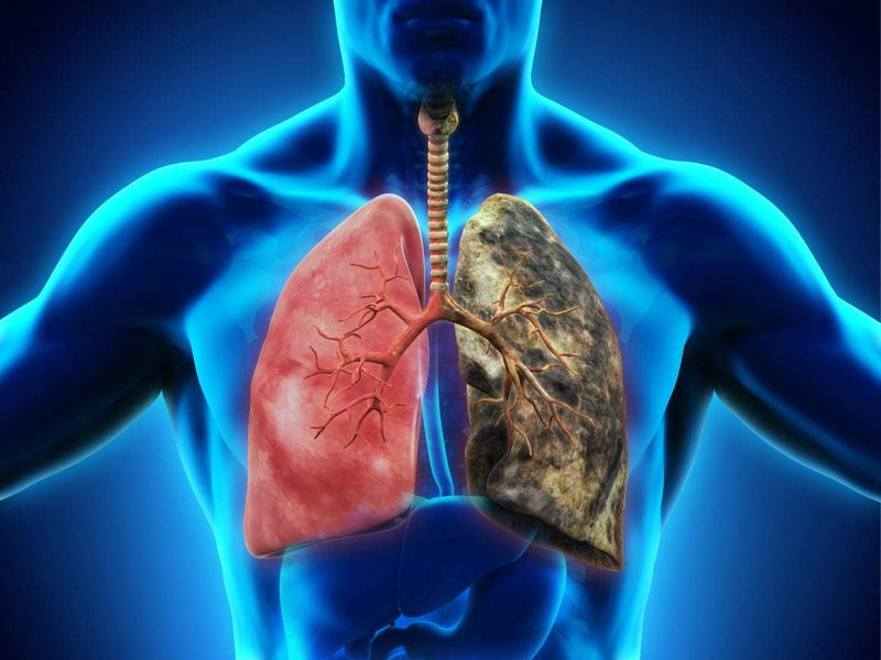 respiratory-formula---lung-cleanse-for-smokers---b-8.jpg