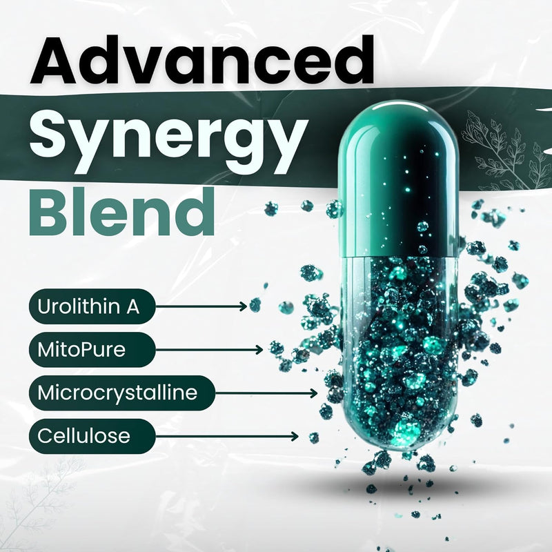 rewind-urolithin-a-supplement---mitopure-a-advanced-longevity-mitochondrial-nutrition-formula-anti-aging-cellular-supplements-for-men-and-women---60-capsules-to-reverse-timeline-with-healthy-aging-3