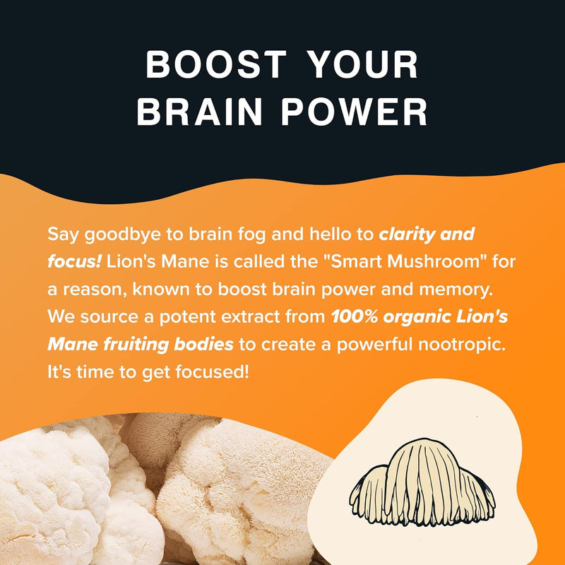 rising-tide-organic-lions-mane-mushroom-powder---h-4.jpg