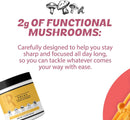 roots-focus-nootropic-brain-supplement-blackberry-lavender-lemonade-blend-of-lions-mane-cordyceps-reishi-functional-mushrooms-with-extended-release-caffeine-15-servings-2