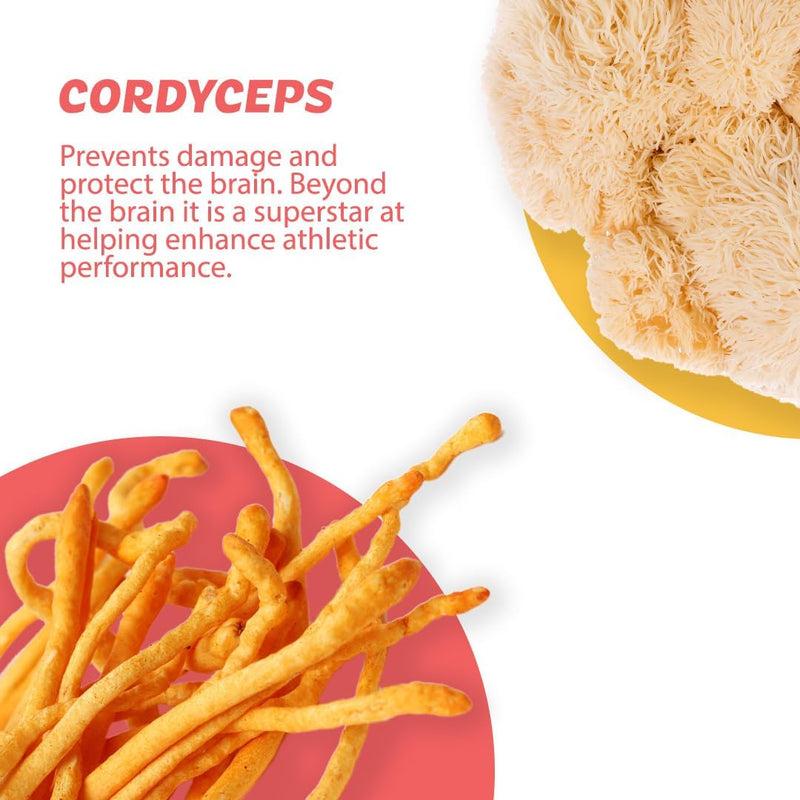 roots-focus-nootropic-brain-supplement-blackberry-lavender-lemonade-blend-of-lions-mane-cordyceps-reishi-functional-mushrooms-with-extended-release-caffeine-15-servings-5