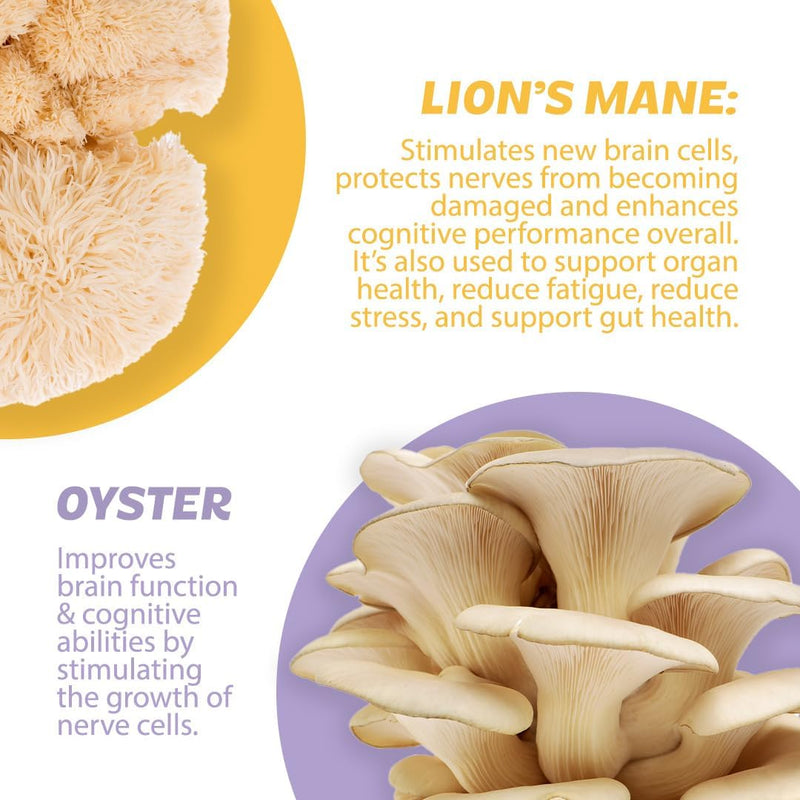 roots-focus-nootropic-brain-supplement-blackberry-lavender-lemonade-blend-of-lions-mane-cordyceps-reishi-functional-mushrooms-with-extended-release-caffeine-15-servings-6