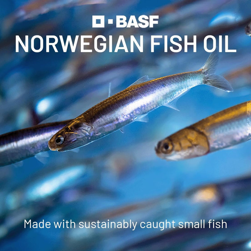rtg-omega-3-norwegian-fish-oil-with-coq10-dietary--6.jpg