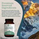 ruved-livtone---liver-care-liver-support-supplement-for-women-men-with-amla-andrographis-picrorhiza-pills-with-organic-herbs-for-natural-detox---90-capsules-1-count-4