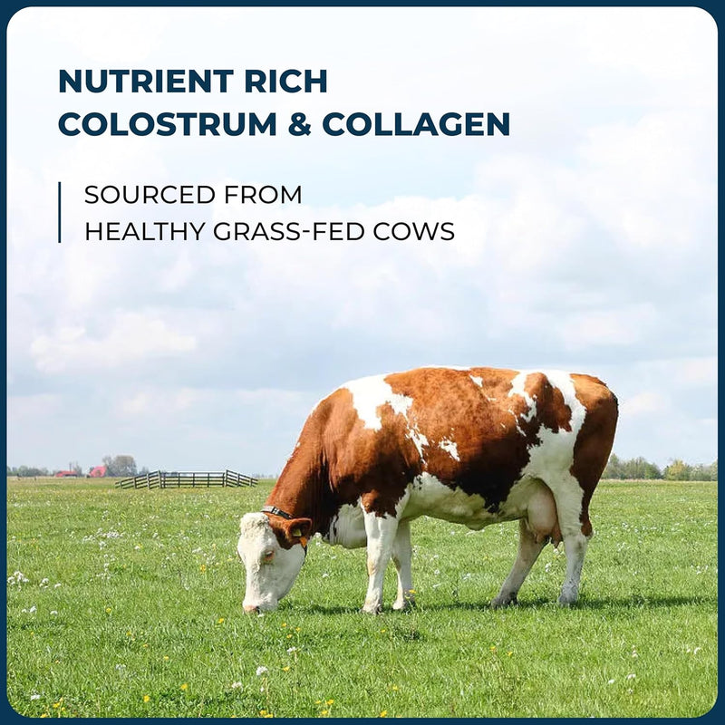 sandhus-bovine-colostrum-with-collagen-powder-hair-beauty-skin-nail-supplement-supports-gut-immune-health-digestive-enzymes-45-servings-large-pack-nutrition-for-women-2