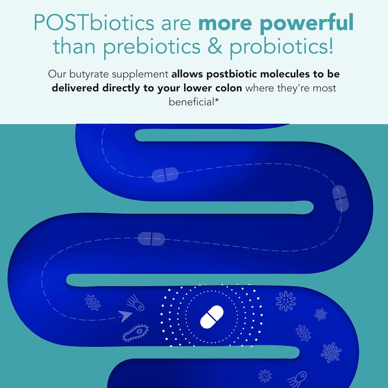 sane-md---viscera-3-postbiotics-with-tributyrin---sodium-butyrate-supplement-for-gas-and-bloating-relief---gut-health---ibs-leaky-gut-butyric-acid-supplement---nsf-certified---30-capsules-3