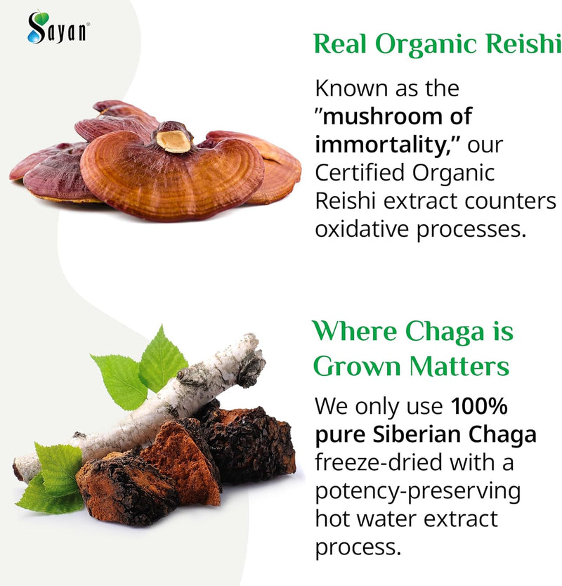 sayan-siberian-chaga-and-organic-reishi-mushroom-e-4.jpg