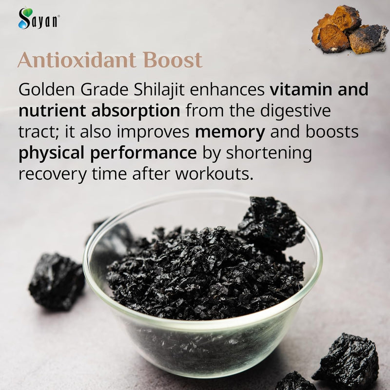 sayan-siberian-chaga-mushroom-extract-with-shilaji-5.jpg