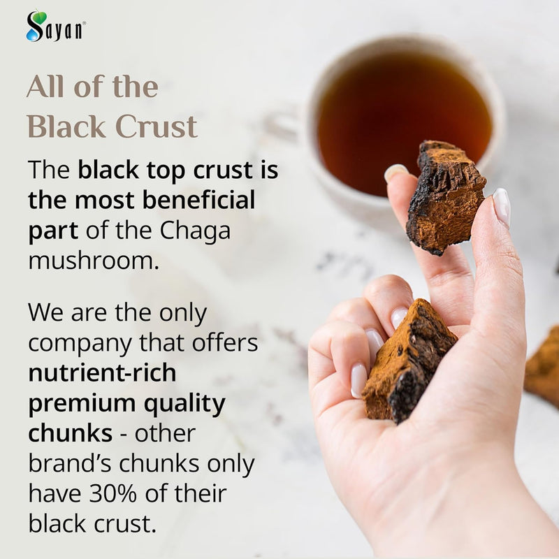 sayan-siberian-pure-raw-chaga-mushroom-chunks-with-2.jpg