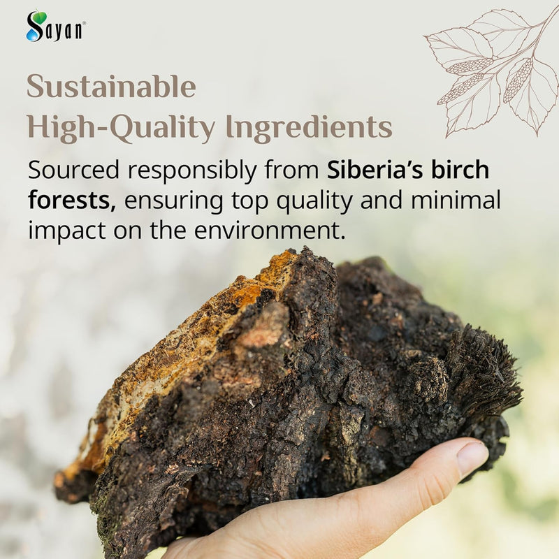 sayan-siberian-pure-raw-chaga-mushroom-chunks-with-5.jpg