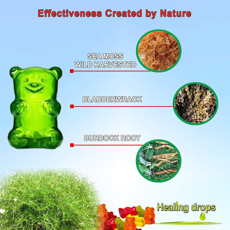 sea-moss-gummies---irish-sea-moss---raw-organic-wi-4.jpg