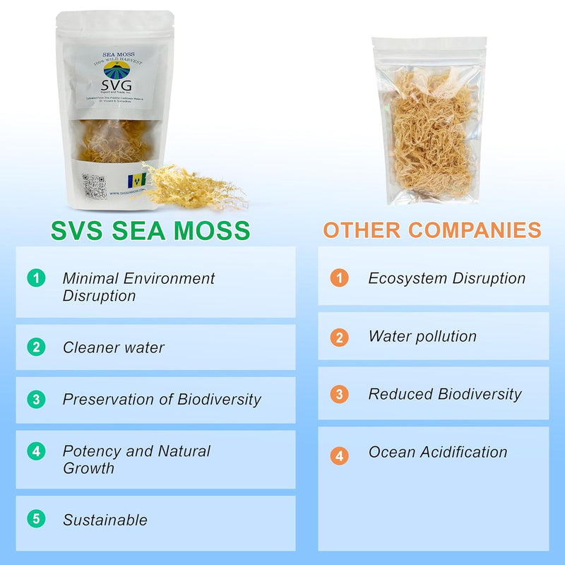 sea-moss-makes-22-oz-of-gel-wild-harvested-plant-b-5.jpg