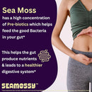 seamossy-sea-moss-supplement-100-pure-organic-sea--4.jpg