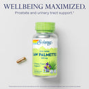 solaray-saw-palmetto-berry-580-mg-healthy-prostate-3.jpg
