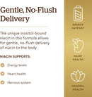 solgar-no-flush-niacin-500-mg-250-vegetable-capsules---cardiovascular-support---supports-energy-metabolism---no-flush-delivery---vegan-gluten-free-dairy-free-kosher---250-servings-3