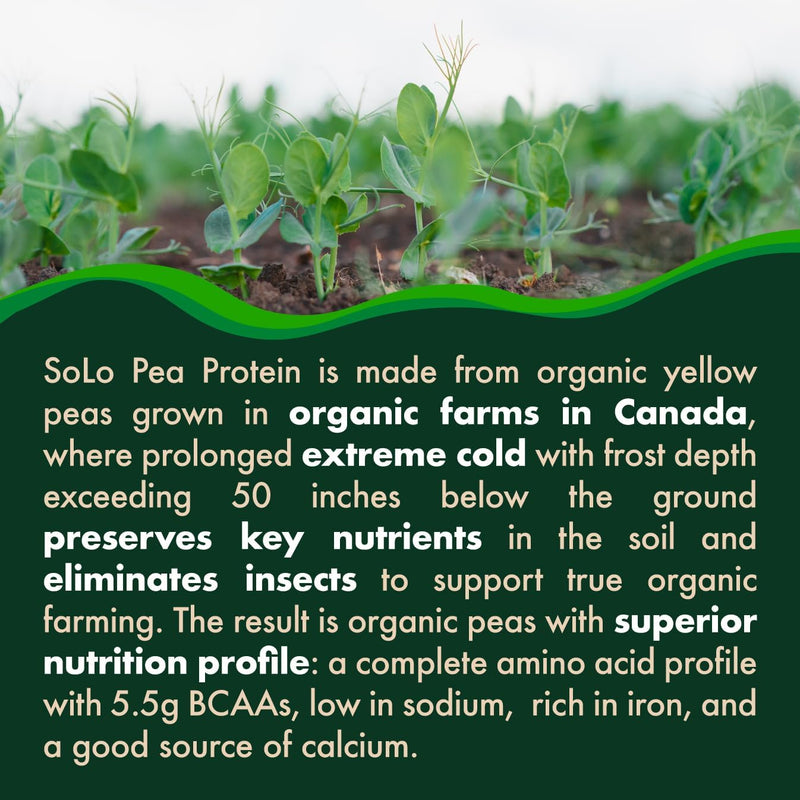 solo-organic-pea-protein-isolate-low-in-sodium-canada-grown-peas-100-vegan-non-gmo-unflavored-plant-based-protein-powder-with-bcaa-keto-paleo-friendly-easy-to-digest-no-additives-27-lbs-3