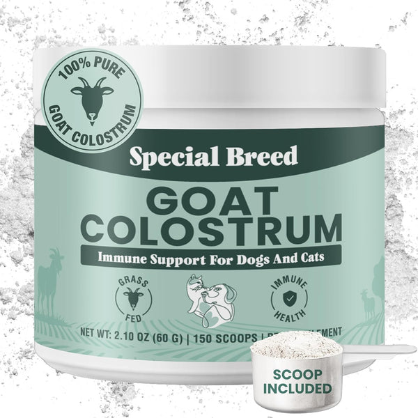 special-breed-goat-colostrum-for-dogs-and-cats-immune-support-supplement-for-allergy-and-itch-relief-grass-fed-colostrum-powder-60-grams-1