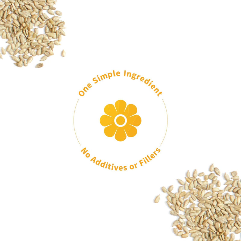 sprout-living-simple-sunflower-seed-protein-powder-7.jpg