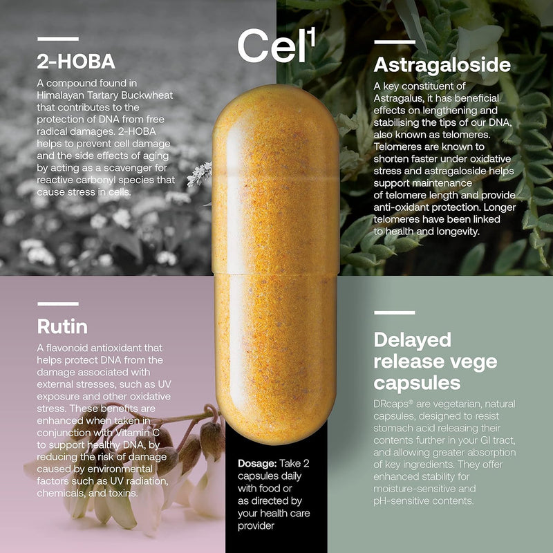 srw-laboratories-cel-stability-stem-cell-supplement-with-2-hoba---supports-stress-defence-dna-structure-youthful-cell-function-60-capsules-2