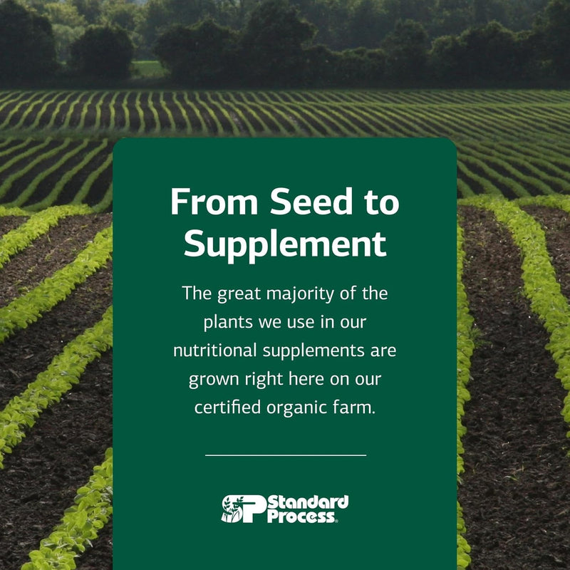 standard-process-inc-inositol-powder---whole-food--7.jpg