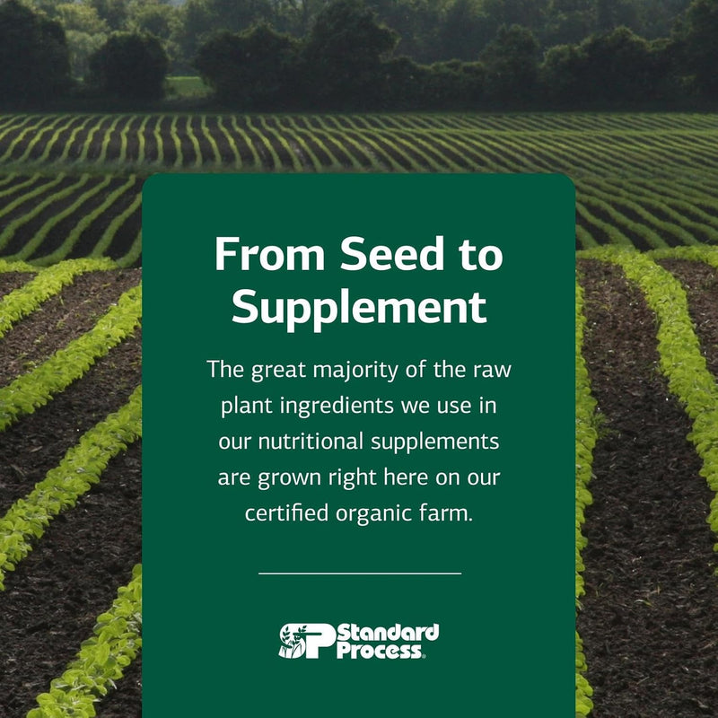 standard-process-inc-sp-green-food---whole-food-me-7.jpg