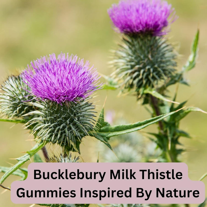 sugar-free-milk-thistle-gummies-1000mg---silybum-m-8.jpg