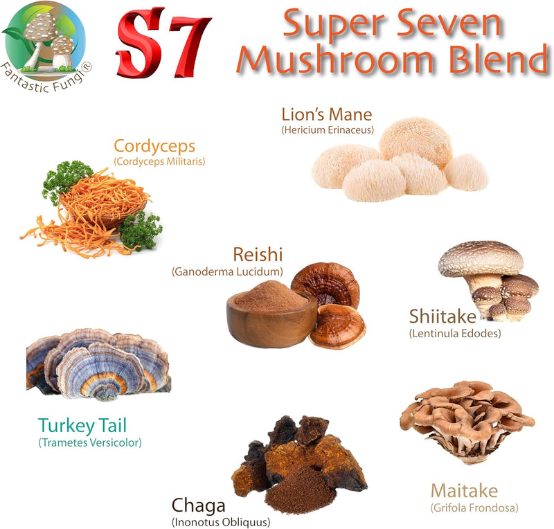 super-7-mushroom-extract-powder---fantastic-fungi--8.jpg