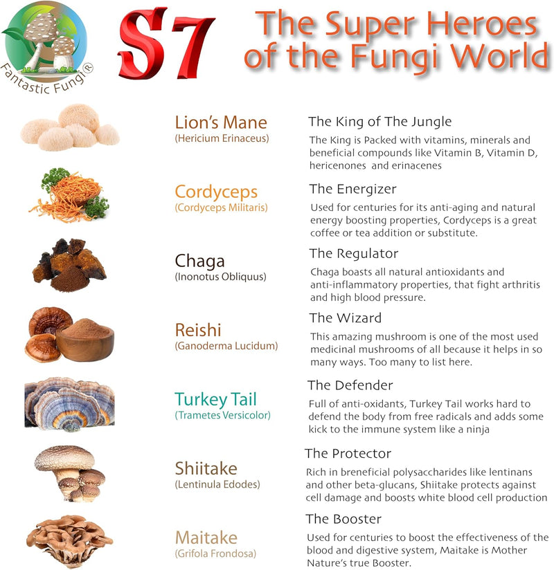 super-7-mushroom-extract-powder---fantastic-fungi--9.jpg
