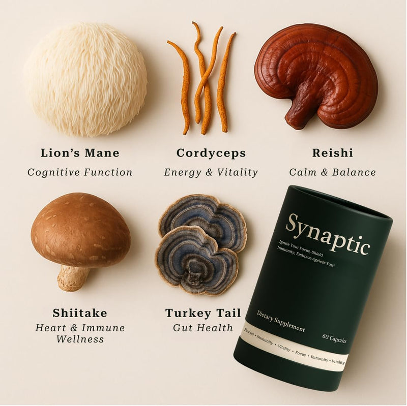 synaptic-lions-mane-mushroom-supplement-immune-sup-2.jpg