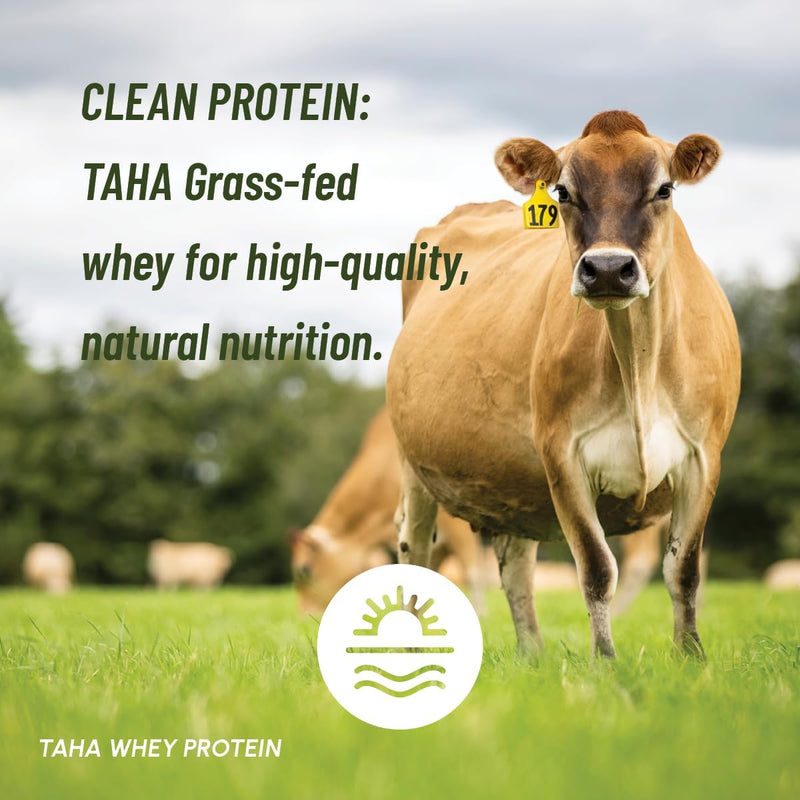 taha-health-nutrition-mind-body-protein-blend-mada-2.jpg
