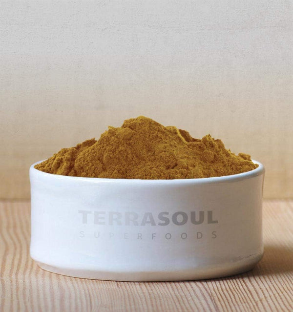 terrasoul-superfoods-organic-reishi-mushroom-powde-3.jpg
