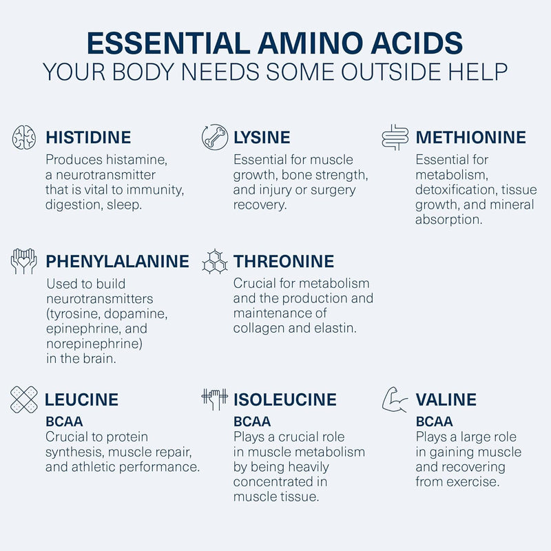 the-amino-co---perform-pre-workout-powder-suppleme-4.jpg