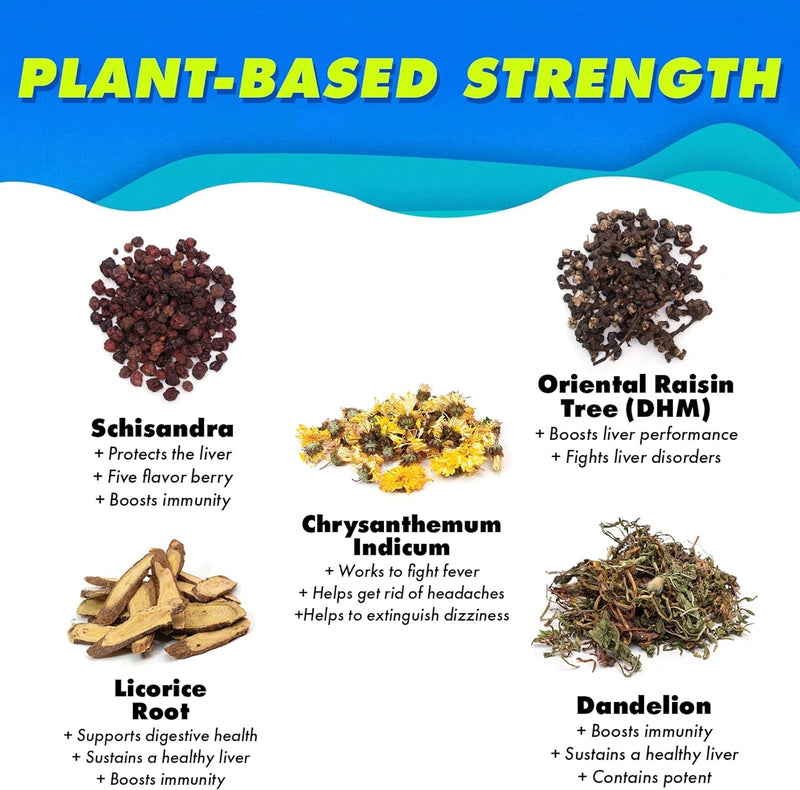 the-plug-cleanse-detox-drink-48-pack---all-natural-5.jpg
