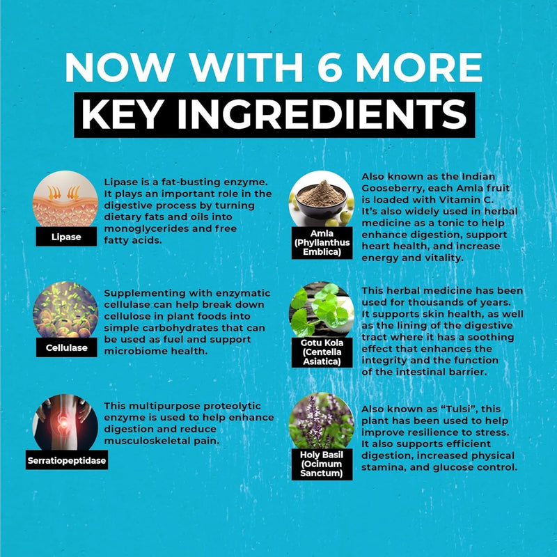 total-revive---broad-spectrum-digestive-enzymes---90-capsules---10-essential-enzymes-and-3-herbal-adaptogens---physician-formulated-4