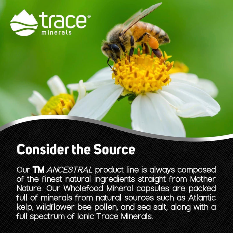 trace-minerals-wholefood-minerals---body-brain-hea-5.jpg
