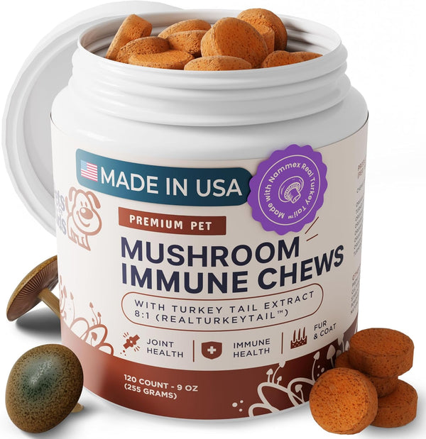 turkey-tail-mushroom-for-dogs---organic-81-extract-1.jpg