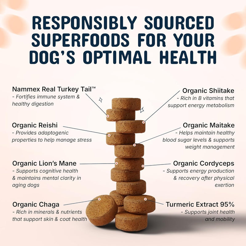 turkey-tail-mushroom-for-dogs---organic-81-extract-3.jpg