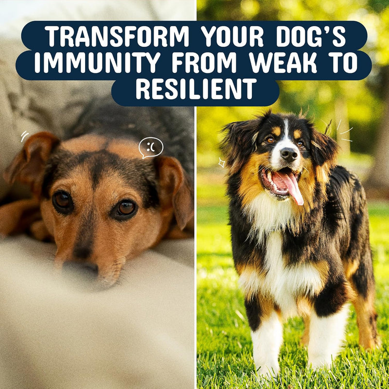 turkey-tail-mushroom-for-dogs---organic-81-extract-5.jpg