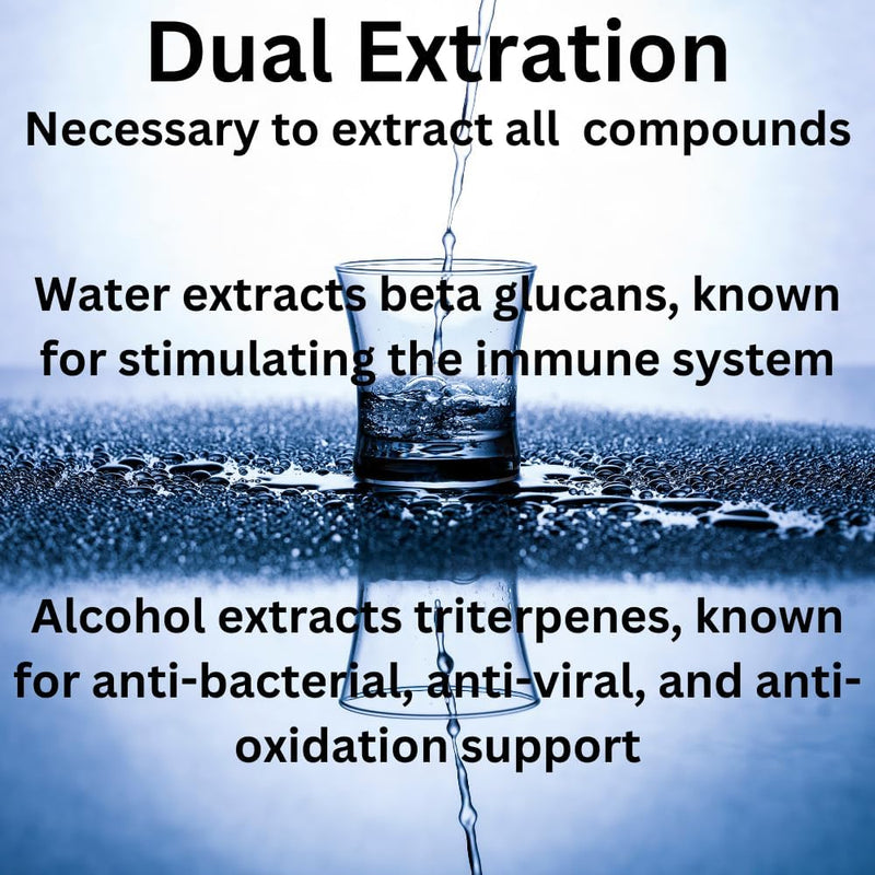 turkey-tail-mushroom-liquid-extract-tincture-daily-5.jpg