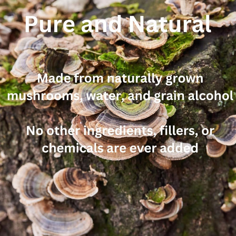 turkey-tail-mushroom-liquid-extract-tincture-daily-6.jpg