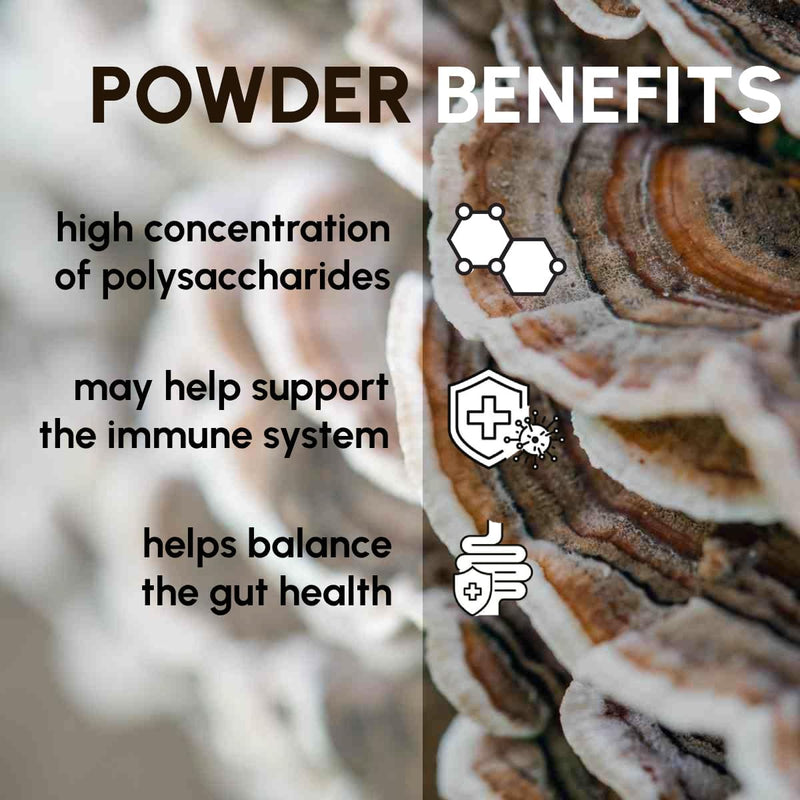 turkey-tail-mushroom-powder-8-oz---natural-mushroo-2.jpg