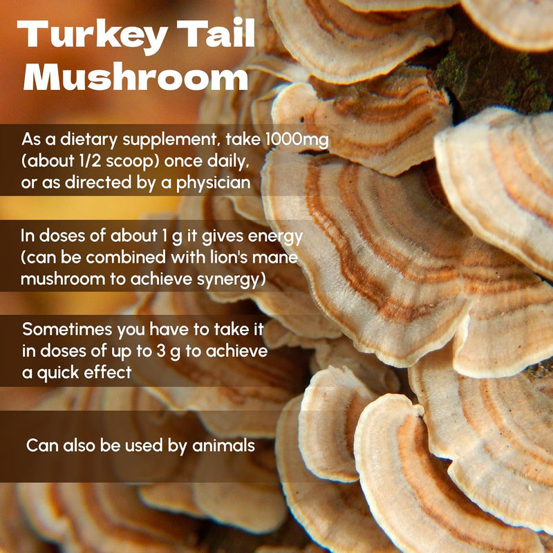 turkey-tail-mushroom-powder-8-oz---natural-mushroo-4.jpg