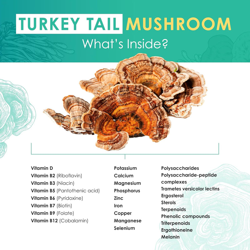 turkey-tail-powder---organic-mushroom-supplement-w-3.jpg