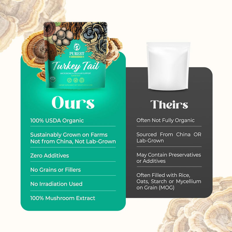 turkey-tail-powder---organic-mushroom-supplement-w-5.jpg